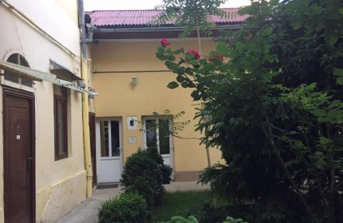 Cluj-Napoca City Centre Apartamento | Vivaldi Studios