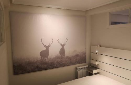 Casco Viejo Apartamento | Vive Vitoria! en la Almendra Medieval Zapa