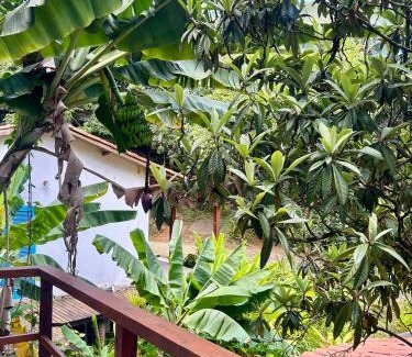 Ilhabela Casa | Viver a Ilha - Loft à 96m do Mar