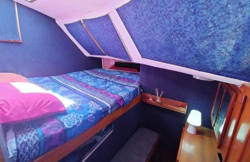 Marseillan Alquiler De Eote | Vivez une expérience insolite sur notre grand catamaran de 12m au mouillage en face de Marseillan