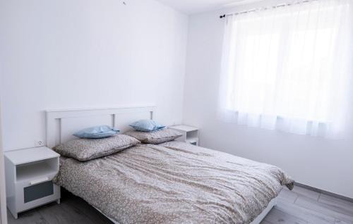 Ordacsehi Apartamento | Vivien vendégház 2