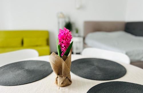 Turda Apartamento | Vladstudio