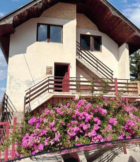 Seoci Apartamento | Vlajka