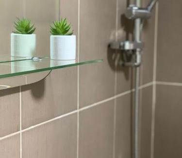 Vrnjacka Banja Apartamento | Vlajkovic apartmani 2