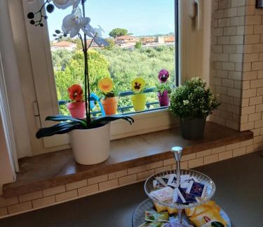 Querceta Apartamento | Voglia di mare Versilia