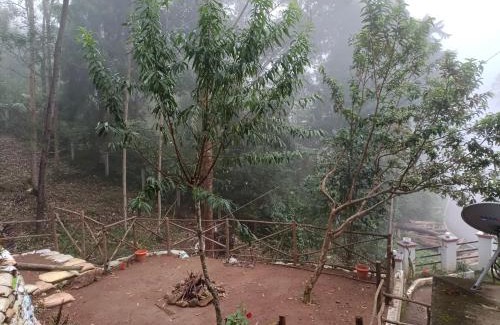 Suryanelli Casa | Voyage Munnar Laya Home Stay