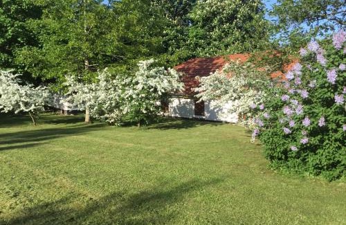 Viborg Casa | Vranum Guesthouse