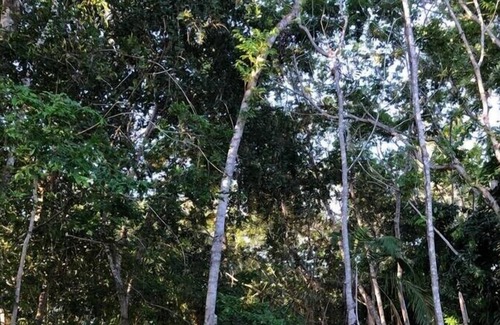 Sauipe Casa | Vrbo Property