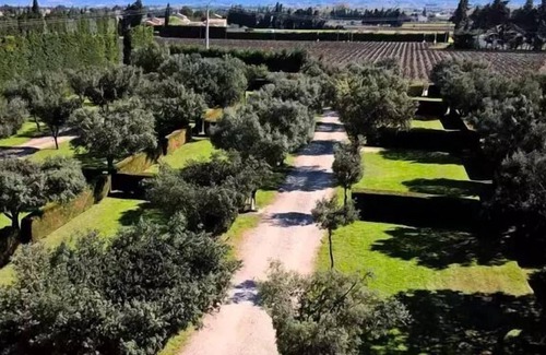 Violes Casa | Vrbo Property