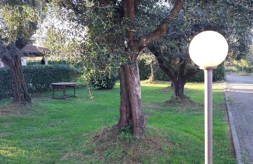 Cinquale Apartamento | Vrbo Property