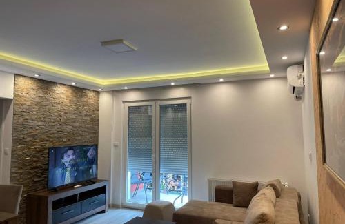 Banja Koviljaca Apartamento | Vukov Apartman