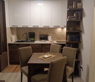 Banja Koviljaca Apartamento | Vukov Apartman
