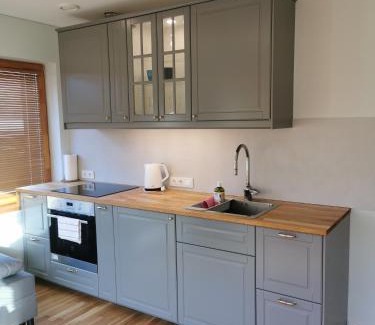 Palanga Apartamento | Vytauto 422 Apartments by JK