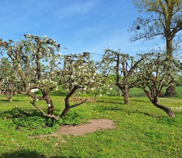 Trygort Casa | Węgorzewo- Dom nad stawem