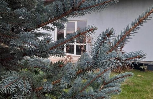 Puck Apartamento | Władysławowo Łebcz Modrzewiowa