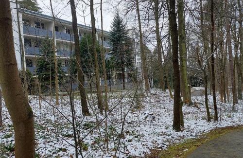 Polanica-Zdroj Apartamento | W KORONACH DRZEW Apartamenty Polanica-Zdrój