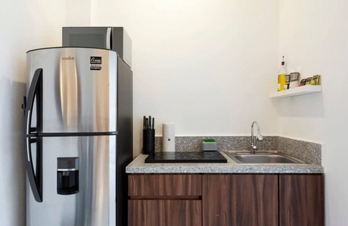 Miguel Hidalgo Apartamento | w* | Lush loft with Modern Deco in Polanco