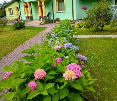 Szczytna Casa | W zieleni