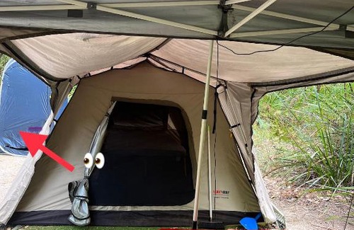 Yeagarup Otro | WA Wilderness Camping Experience