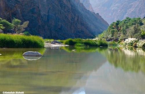 Oman Casa | Wadi Arbeieen Chalet