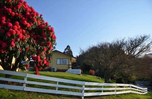 Waitomo Caves Casa | Waitomo Big Bird Retreat