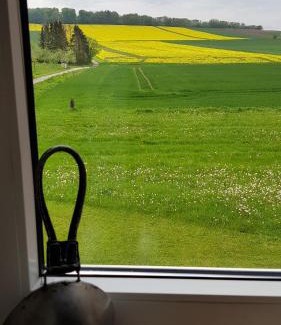 Halle Apartamento | Waldblick