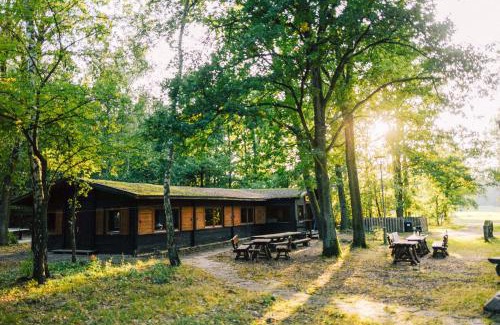 Uelzen Otro | Waldhaus Molzen - Natur erleben