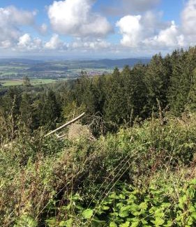 Bad Grund Apartamento | Waldläufer