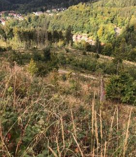 Bad Grund Apartamento | Waldläufer