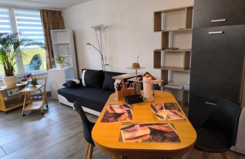 Hohegeiß Apartamento | Waldperle Brockenblick im Panoramic Oberharz