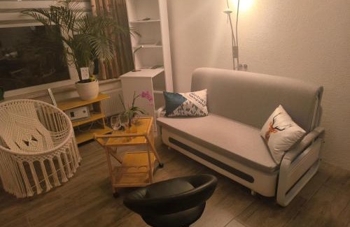 Hohegeiß Apartamento | Waldperle Brockenblick im Panoramic Oberharz