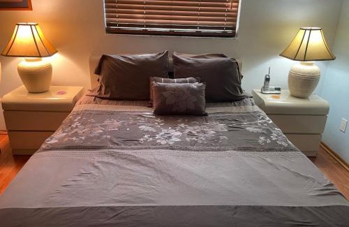 Collins Estates Casa | Walk to Indian Rocks Beach Exclusive Use of Hot Tub, Pool, BBQ,with Privacy