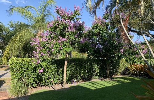 Lake Park Cabaña | Walk to the beach! Dogs Welcome!