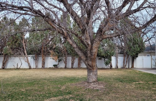 Cheyenne Casa | Walking distance to Cheyenne frontier days.
