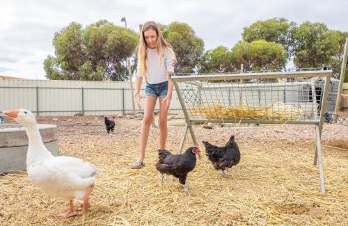 Wallaroo Otro | Wallaroo Holiday Park