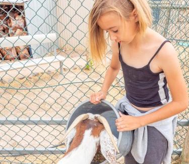 Wallaroo Otro | Wallaroo Holiday Park