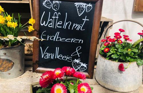 Oberaudorf Apartamento | Waller Suite