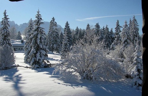 Kruen Apartamento | "Wallgauer Alm" apartment/1 bedroom/shower, WC - Neuner, Almenhof