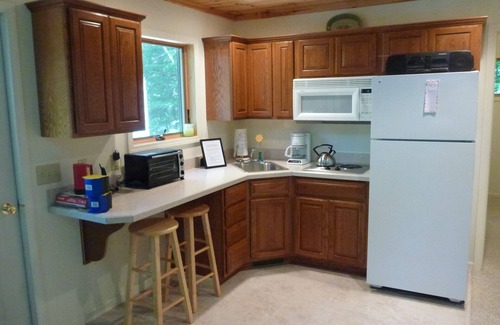 Petoskey Cabaña | Walloon Lake Guest House Cottage ~ Escapada hermosa y aislada!