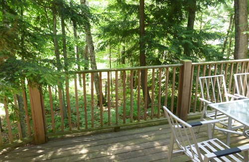 Petoskey Cabaña | Walloon Lake Guest House Cottage ~ Escapada hermosa y aislada!