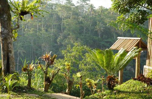 Sebatu Cama Y Desayuno | Wana Ayu Jelijih Villas