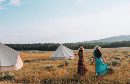 Island Park Otro | Wander Camp Yellowstone