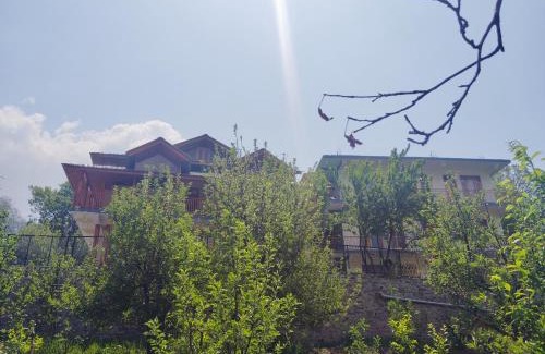 Manali Hotel | Wander Vale