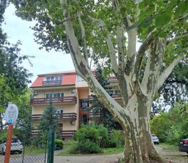 Debrecen Apartamento | Wanderer Forest
