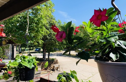 Oklahoma City Casa | WangShi China Palace Bed & Breakfast/Inn