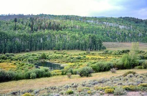Walden Casa | Wapiti Retreat at 22 West Cabins and Recreation