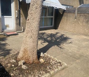 Butetown Casa | Warm spacious lovely house
