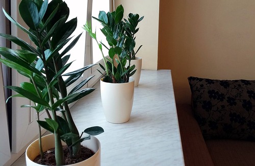 Nowy Dwor Mazowiecki Apartamento | Warsaw Modlin Airport Apartment
