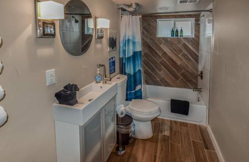 Washington Park Apartamento | Wash Park Gem Large Lower Studio Prime Location