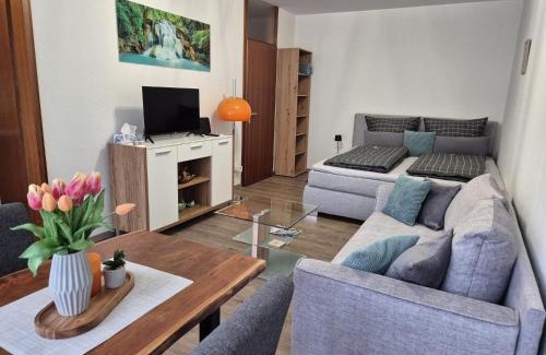 Sasbachwalden Apartamento | Wasserfälle Apartments